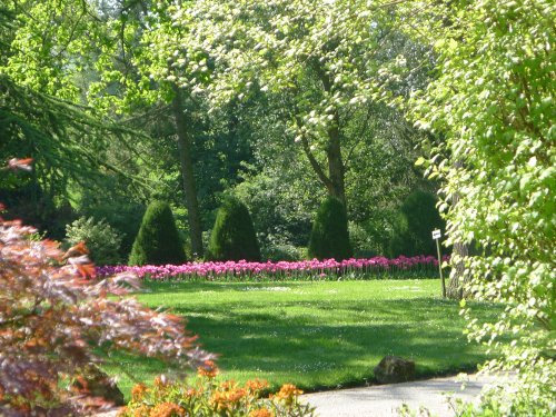 Constable Burton Hall Gardens