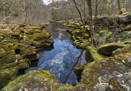 Yorkshire Dales National Park