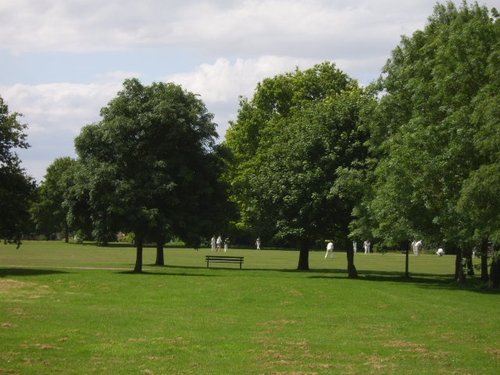 Cricket on the field