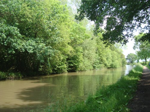Ashby Canal and Ambion Wood
