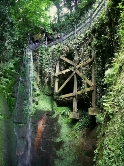 Shanklin Chine