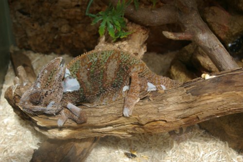 Stratford Butterfly Farm