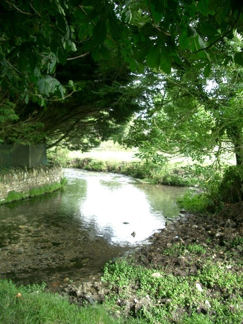 The River Wey