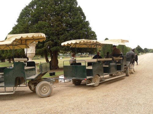 Hampton Court Palace & Gardens