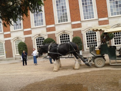 Hampton Court Palace & Gardens