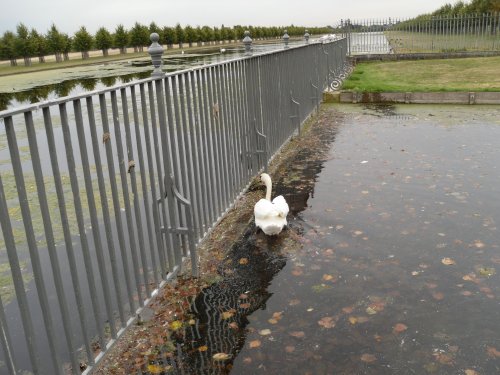Hampton Court Palace & Gardens