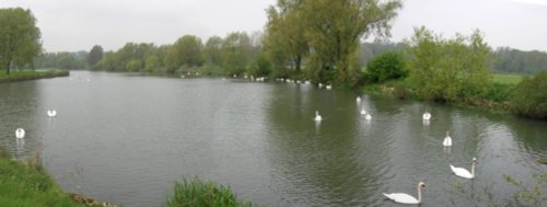 Ferry Meadows Country Park