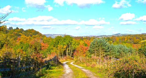 Around Marple Bridge