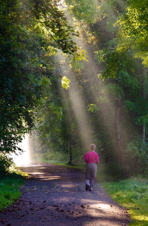 On the Monsal Trail near Hassop