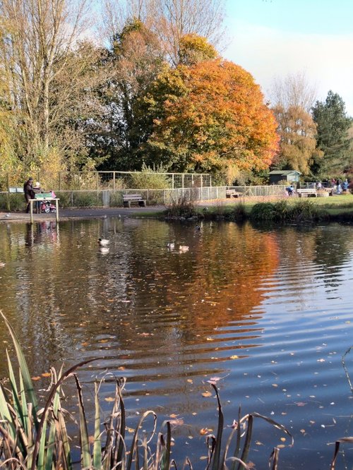 Wildfowl & Wetlands Trust Martin Mere