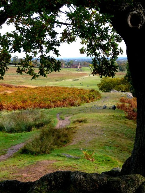 Bradgate House in Bradgate Park
