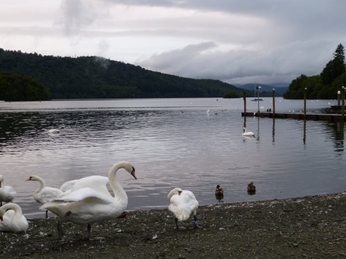 Bowness on Windermere