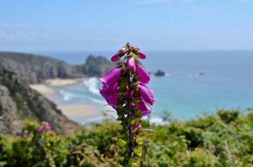 Porthcurno
