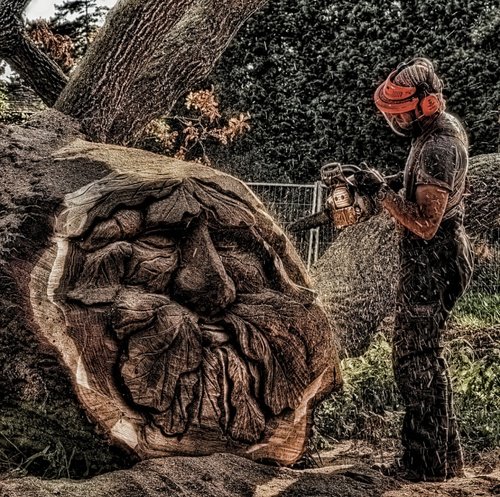 Chainsaw Artist, Elvaston Castle Grounds