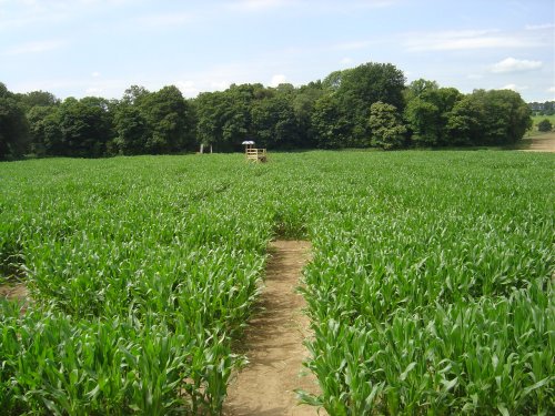 Penshurst Place and Gardens