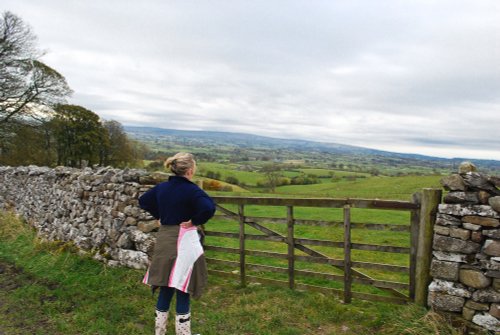 Dales view near Ingleton