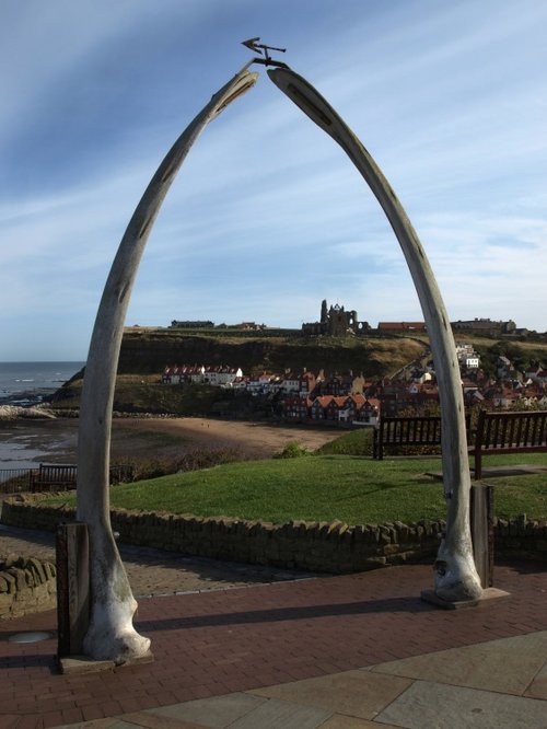 Whitby whalebones