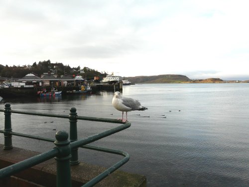 Oban