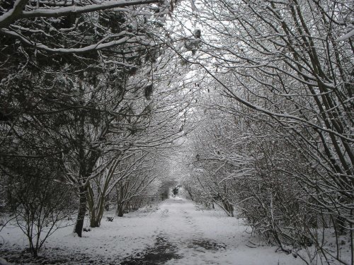 Walking in the Snow at Watermead Country Park