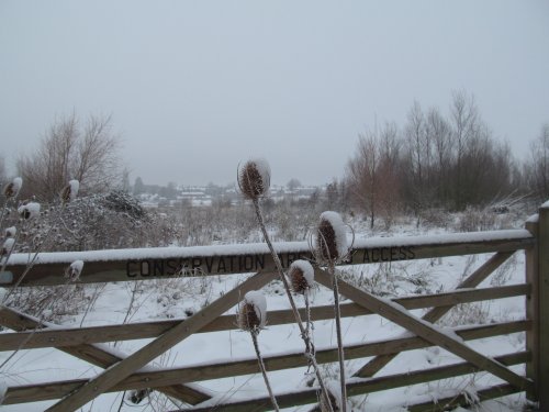 Irthlingborough Winter scene