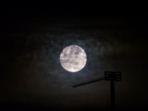 Ground Control to Major Tom