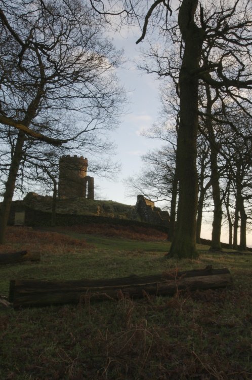 Bradgate Park