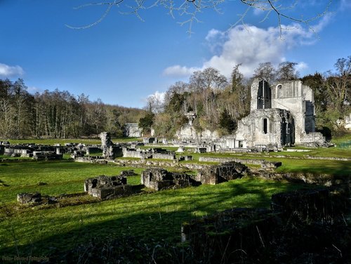 Roche Abbey