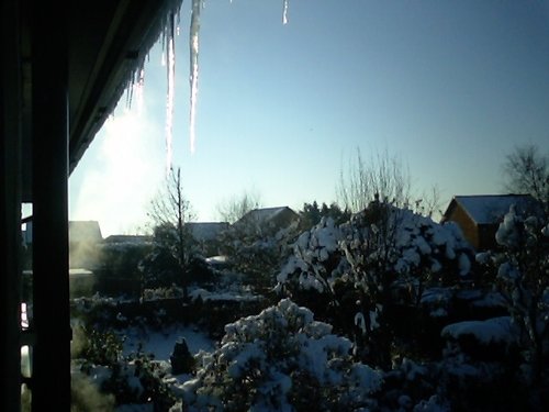 Winter view across Hightown gardens