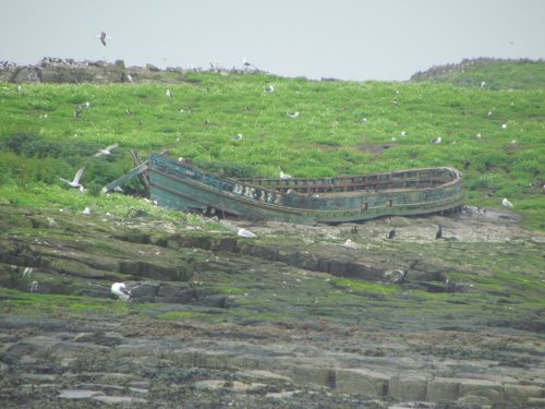 Farne Islands