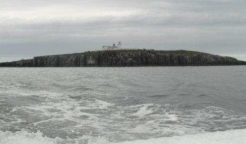 Farne Islands