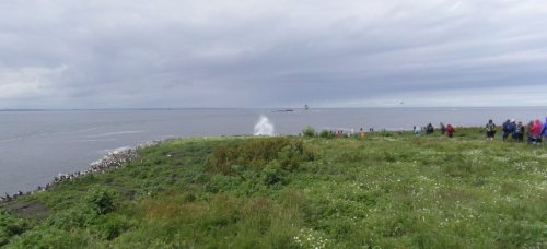 Farne Islands