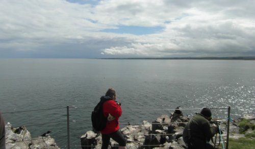 Farne Islands