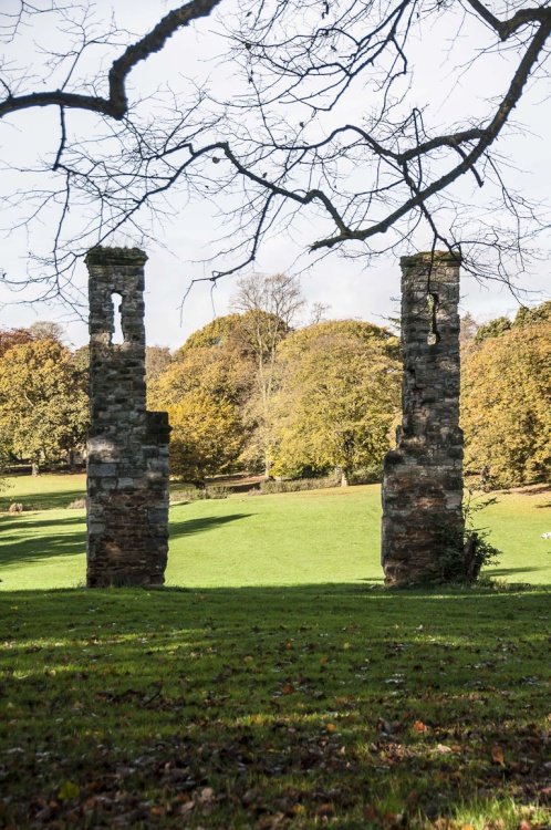 Abington Park Museum