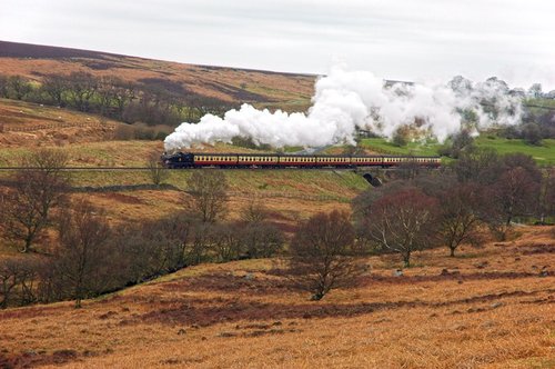 Steam Train, Pickering