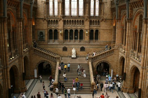 The Natural History Museum