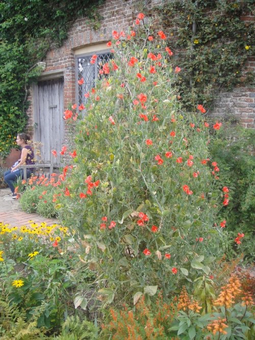 Sissinghurst Castle Garden