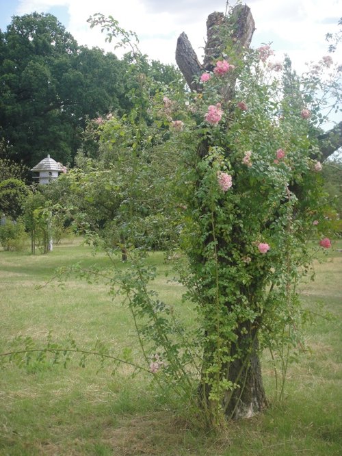 Sissinghurst Castle Garden