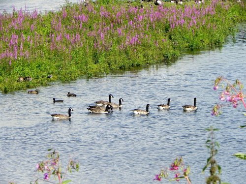 Kingsbury Water Park