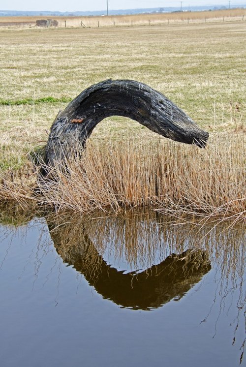 Marsh Monster, Romney Marsh
