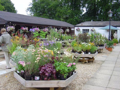 Cranborne Manor Gardens