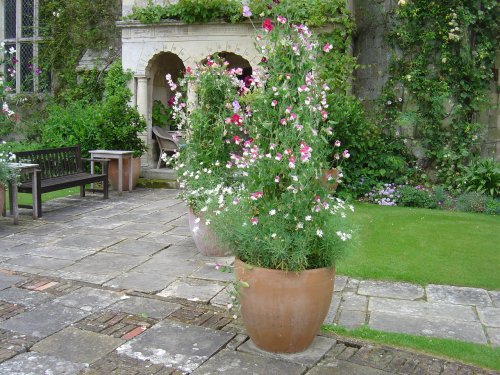 Cranborne Manor Gardens