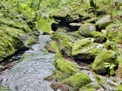 Lydford Gorge