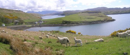 Isle of Skye
