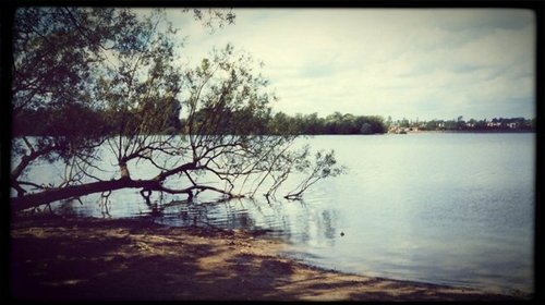 Daventry Country Park