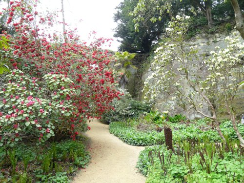 Belsay Hall & Gardens