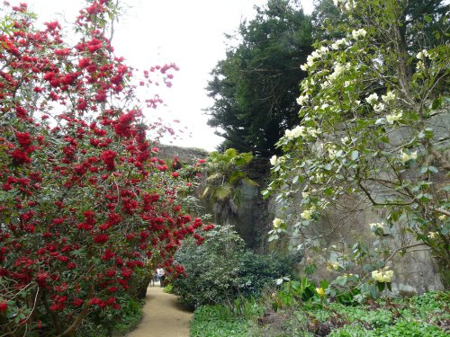 Belsay Hall & Gardens