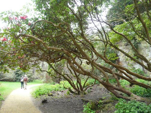 Belsay Hall & Gardens