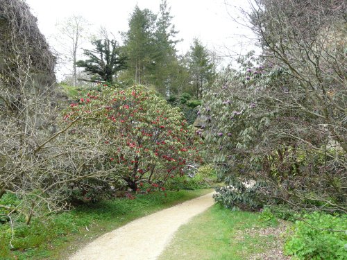 Belsay Hall & Gardens