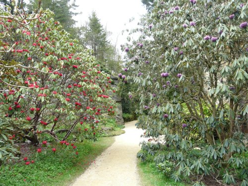 Belsay Hall & Gardens