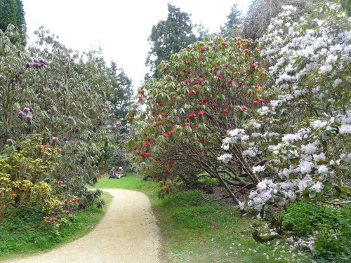 Belsay Hall & Gardens